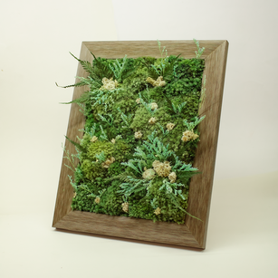 Preserved Moss Art