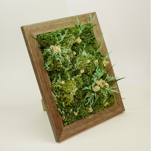 Preserved Moss Art