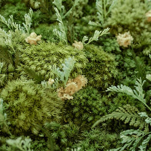 Preserved Moss Art Detail