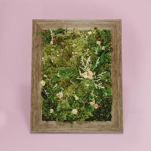 Preserved Moss Art