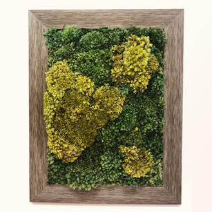 Preserved Moss Art
