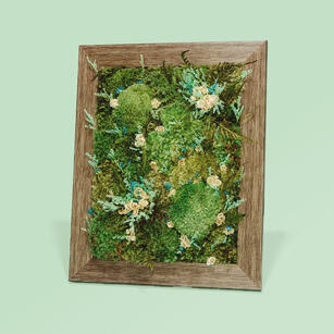 Preserved Moss Art