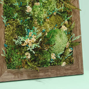 Preserved Moss Art