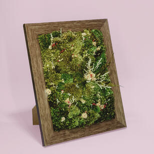 Preserved Moss Art
