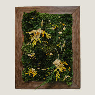 Preserved Moss Art