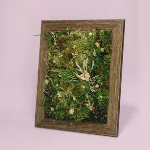 Preserved Moss Art