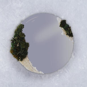Preserved Moss Art on Mirror