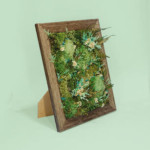 Preserved Moss Art