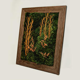 Preserved Moss Art