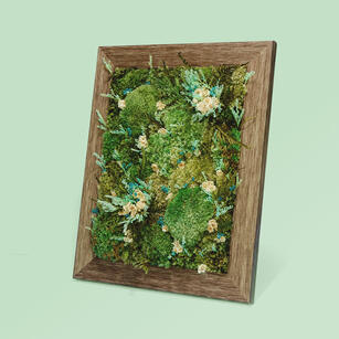 Preserved Moss Art